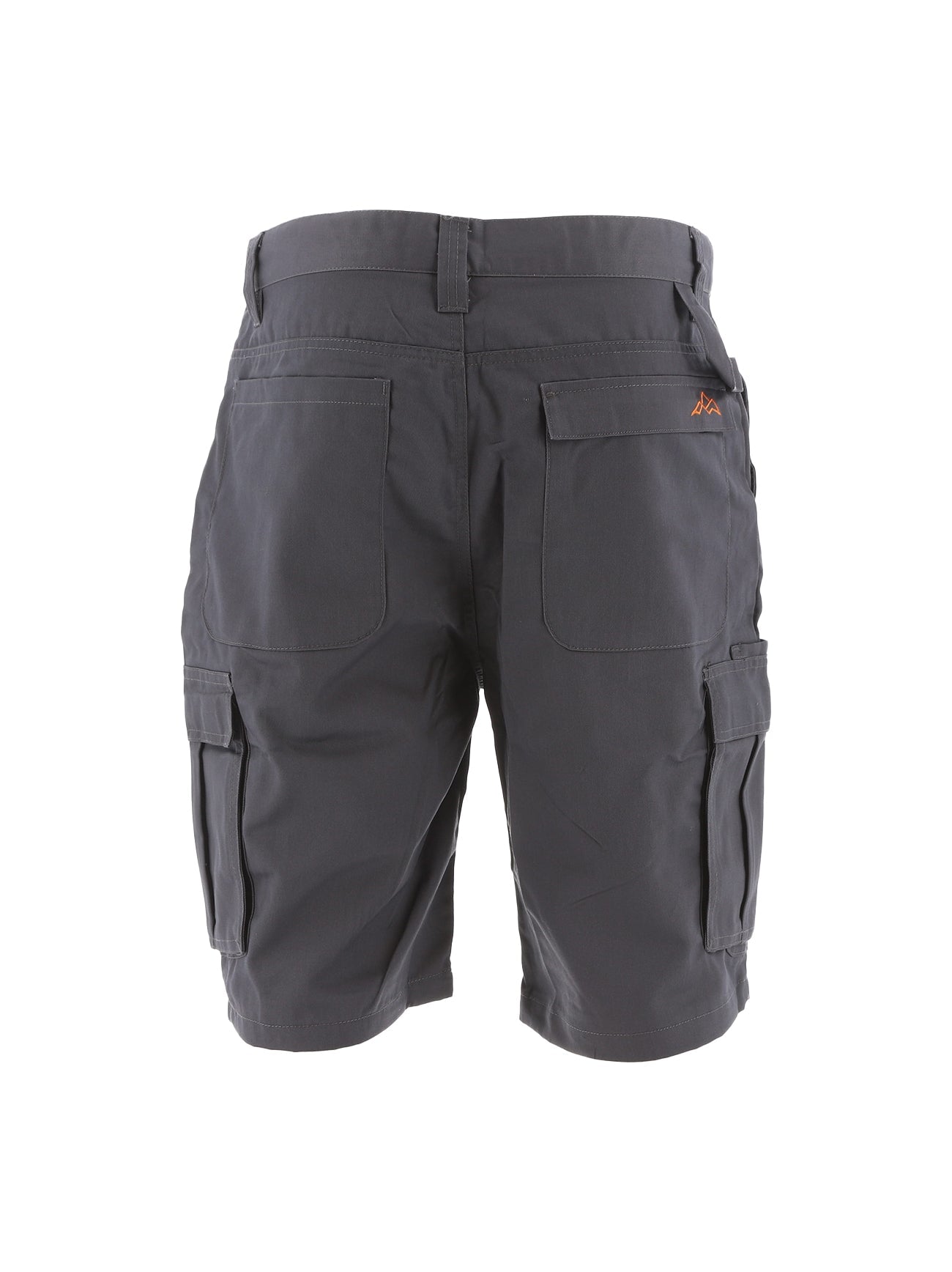 North Peak Axis Grey Cargo Short