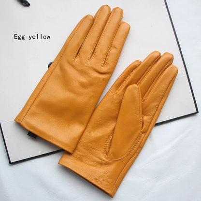 Women's Genuine Leather Gloves – Thin Lined